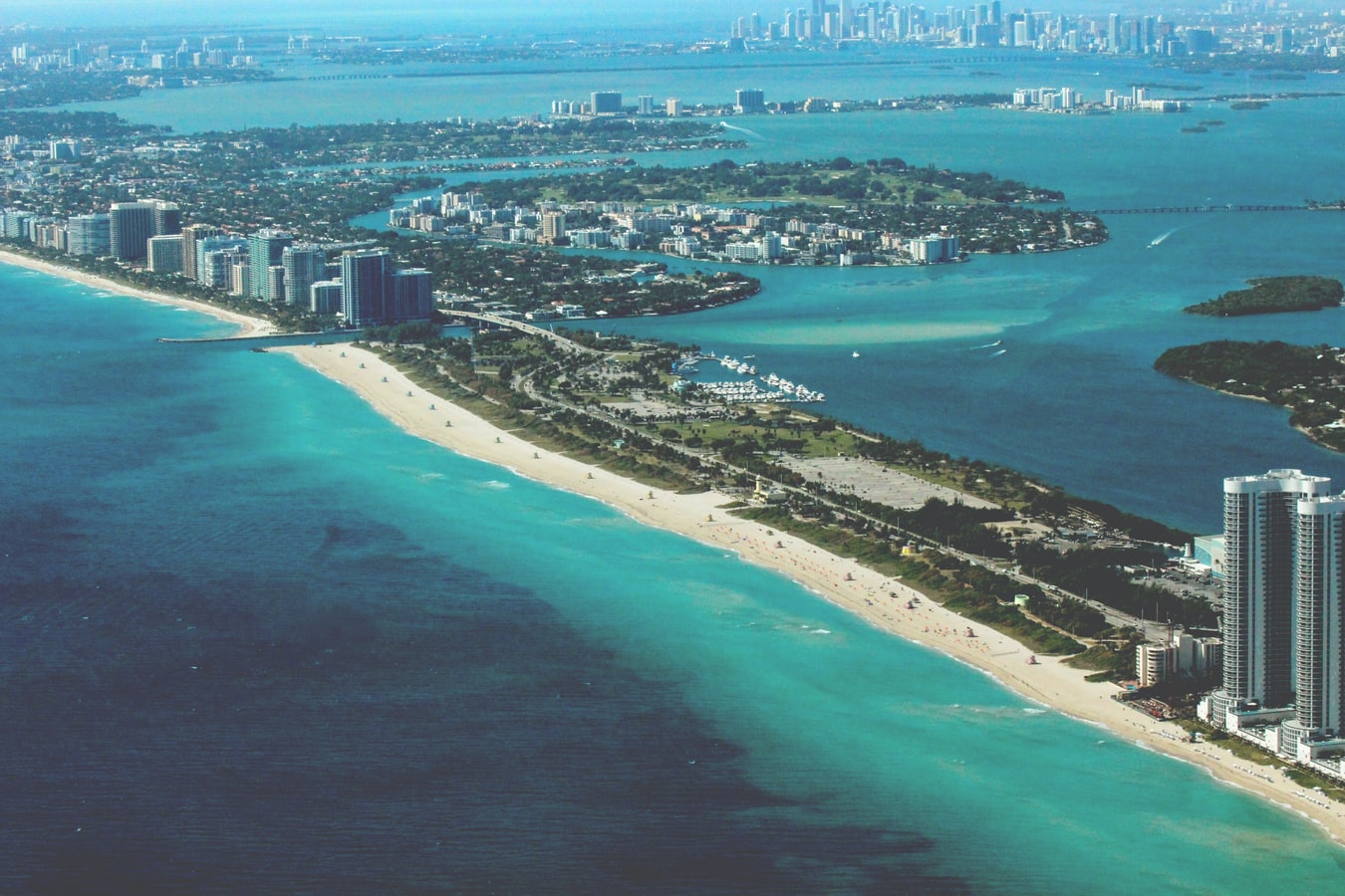 Miami Skyline